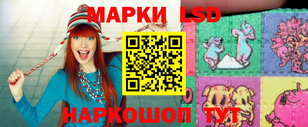 Меф Пенза