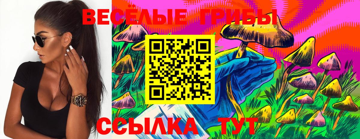 Пенза  Галлюциногенные грибы прущие грибы  Галлюциногенные грибы мухоморы  Вход с VPN 